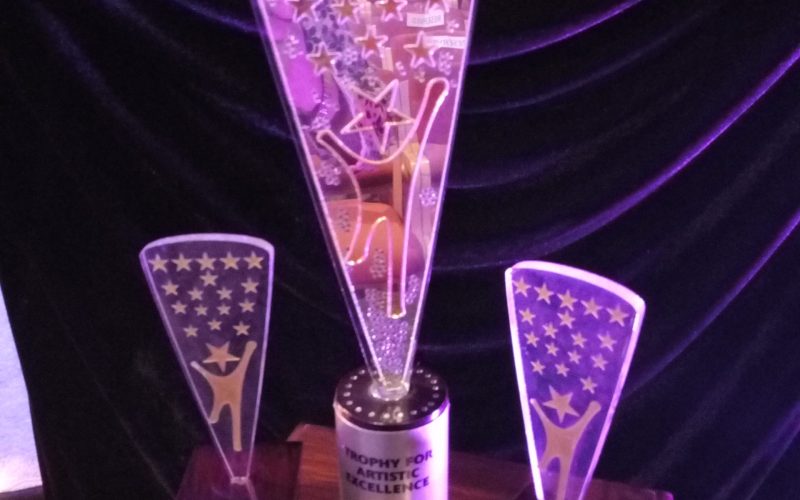 Create trophy for artistic excellence (18)